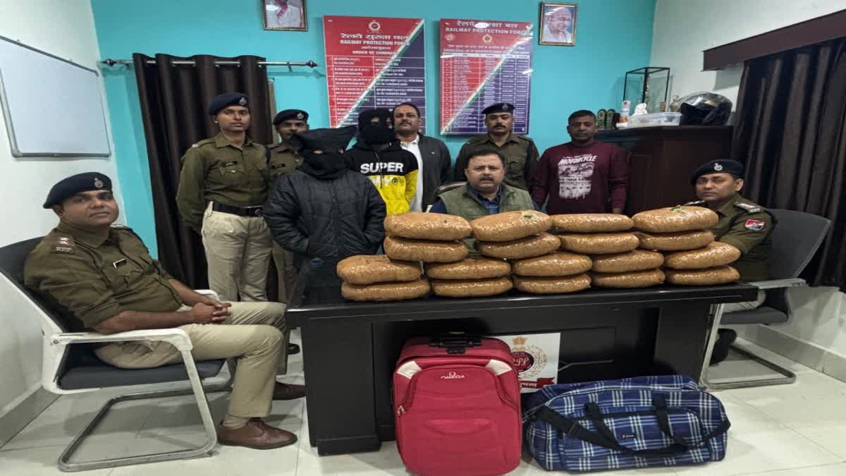 RPF Ranchi seized ganja