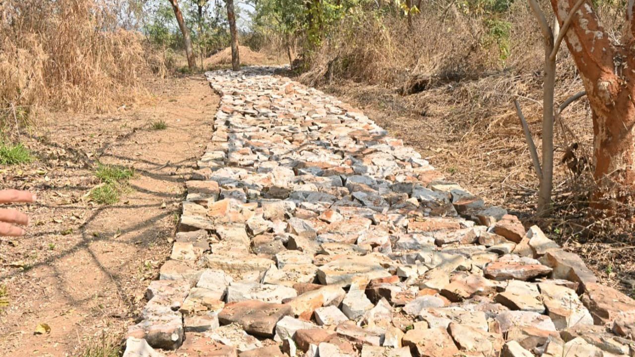 Dhamtari Themli Island