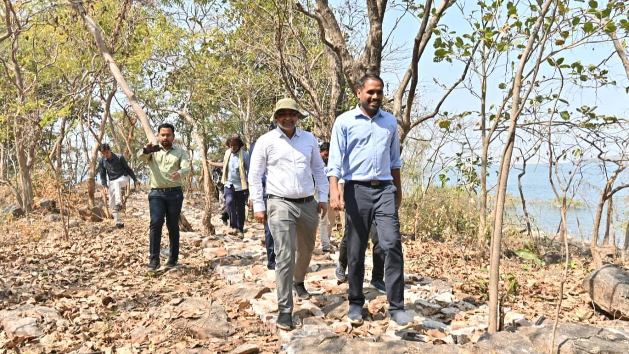 Dhamtari Themli Island
