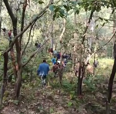 NAINITAL TIGER ATTACK