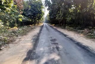 Laldhang Chillarkhal Road