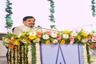 Madhya Pradesh Cabinet Chambal Farming Plan