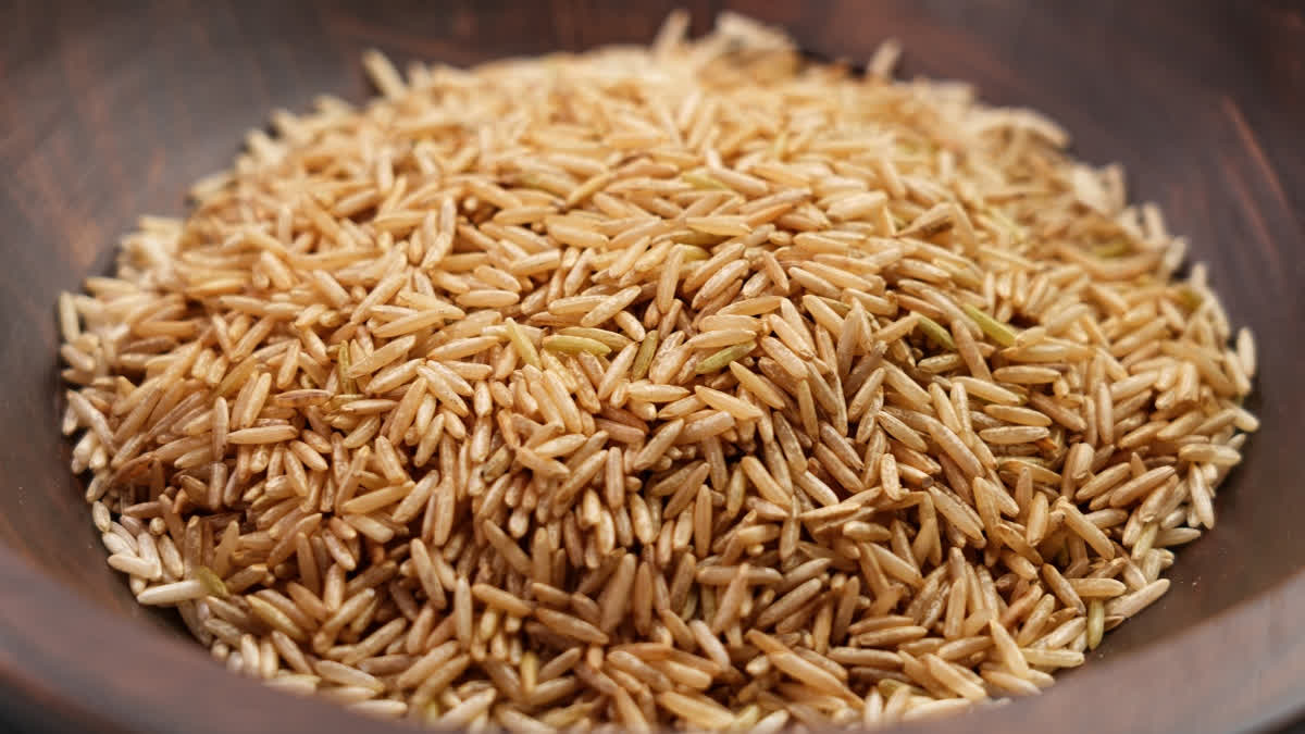 Good News For Diabetics, CSIR-NIIST Scientists Develop 'Designer Rice ...