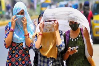 HARYANA WEATHER UPDATE