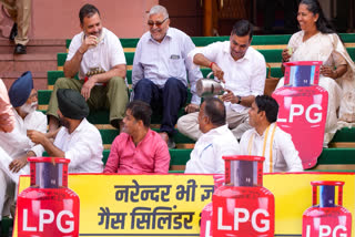 Parliament LPG Shortage Debate