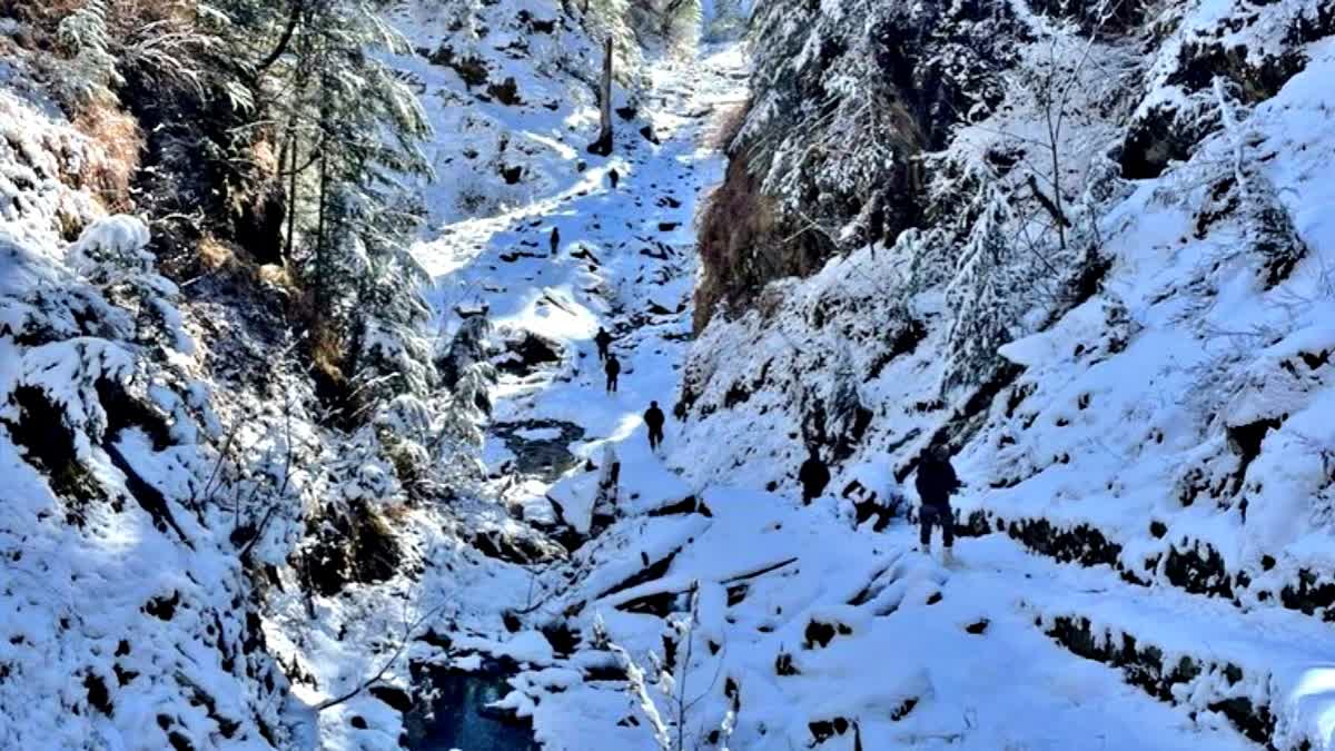 J&K: 2 More Terrorists Gunned Down In Kishtwar Op; JCO Killed In Action Along LoC In Akhnoor