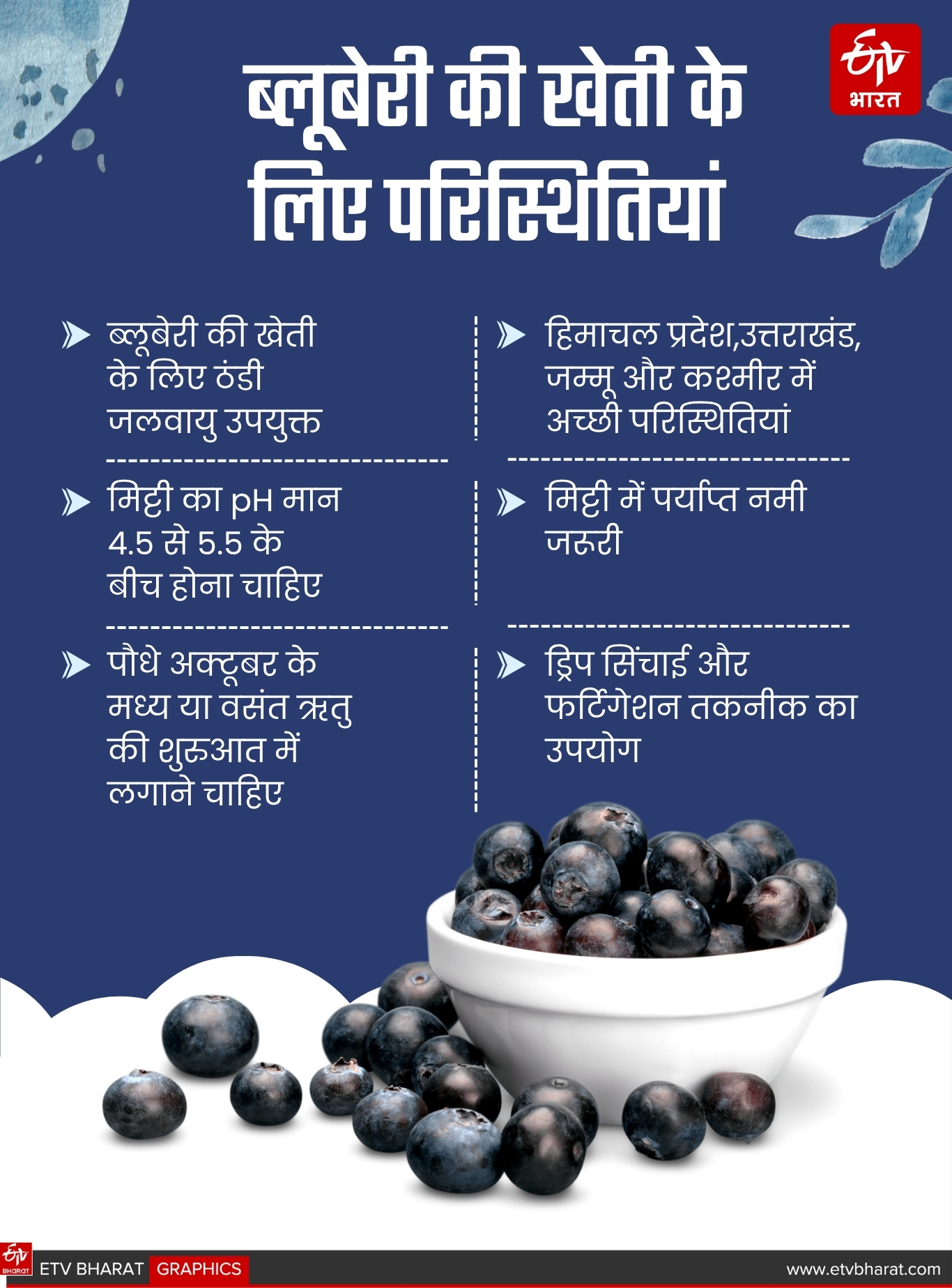 ETV Bharat