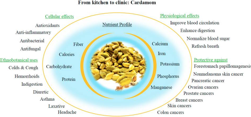 cardamom Health Benefits