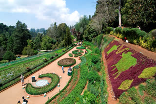 Botanical Garden of Ooty