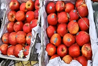 पुण्यात तुर्कीच्या सफरचंदावर बहिष्कार