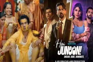 Bhool Chuk Maaf/ Hai Junoon