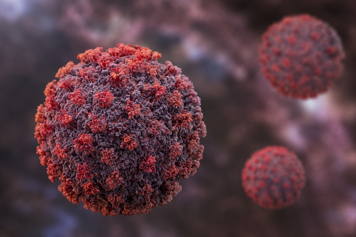 Hantavirus