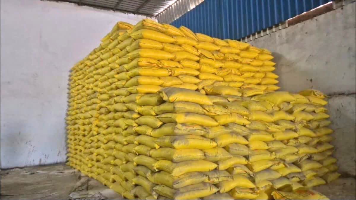 MADHYA PRADESH FERTILIZER SHORTAGE