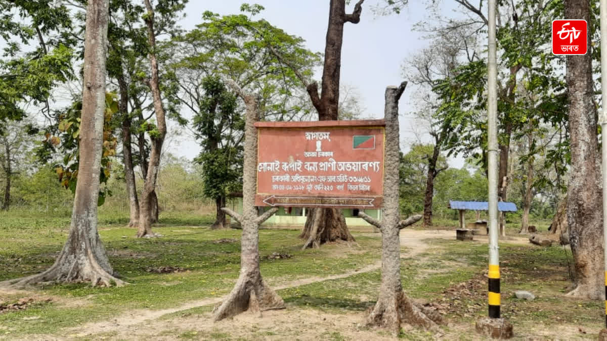 Sonai-Rupai Wildlife Sanctuary
