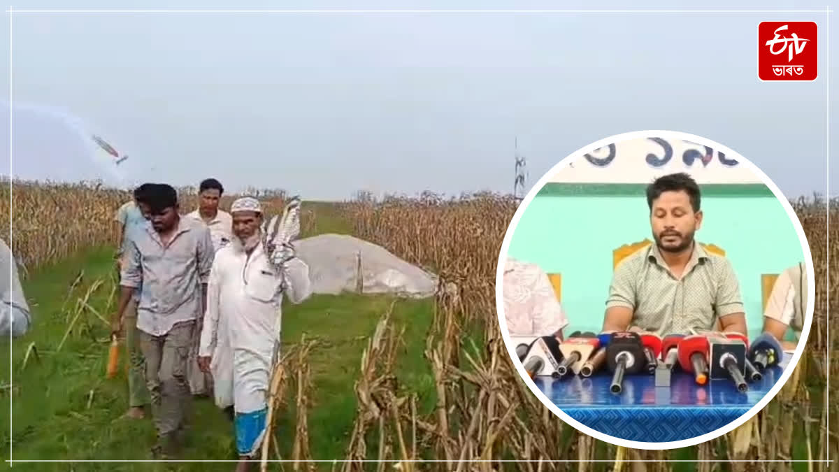 Farmer accused of selling fake Corn seeds in Barpeta