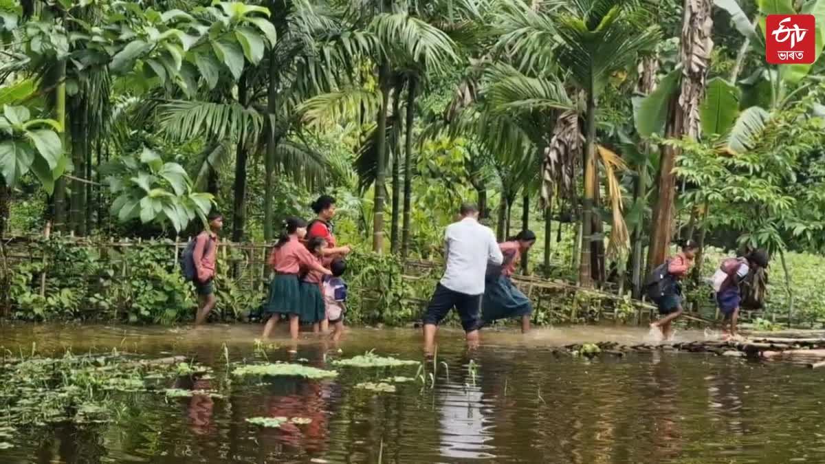 broken bamboo bridge