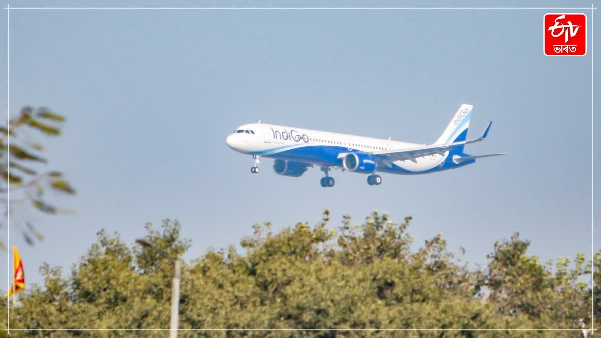Hoax bomb threat delays Lucknow-Delhi flight