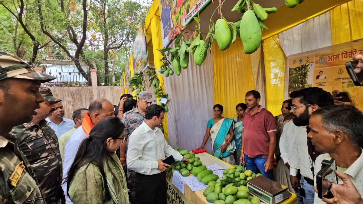 Mango festival organised in Hazaribag