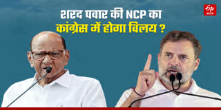 शरद पवार की NCP का कांग्रेस में होगा विलय ?
