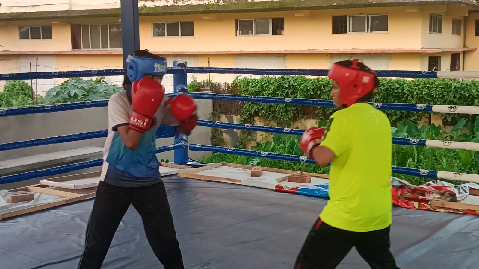 Assam boxers