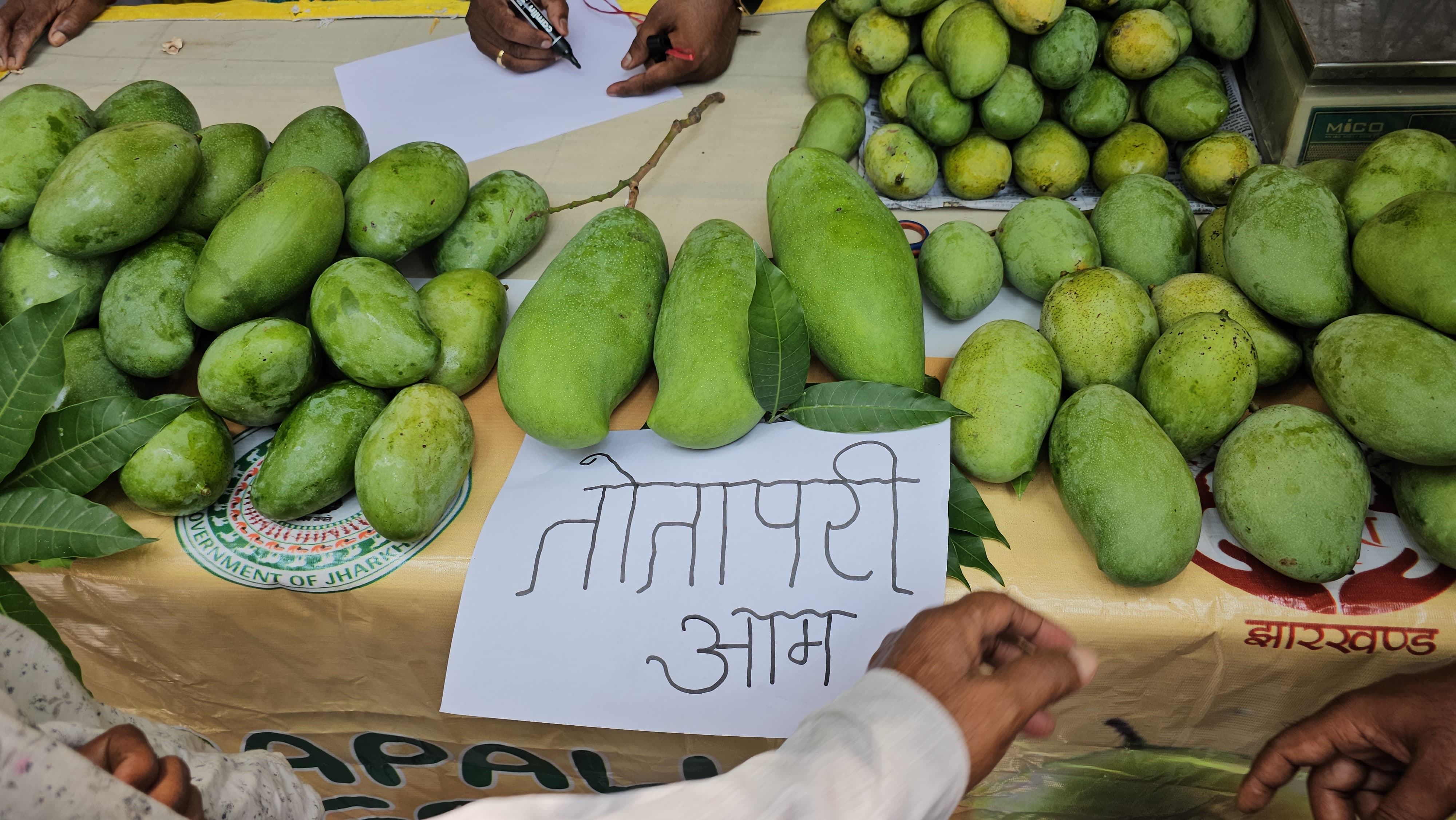 Mango festival organised in Hazaribag