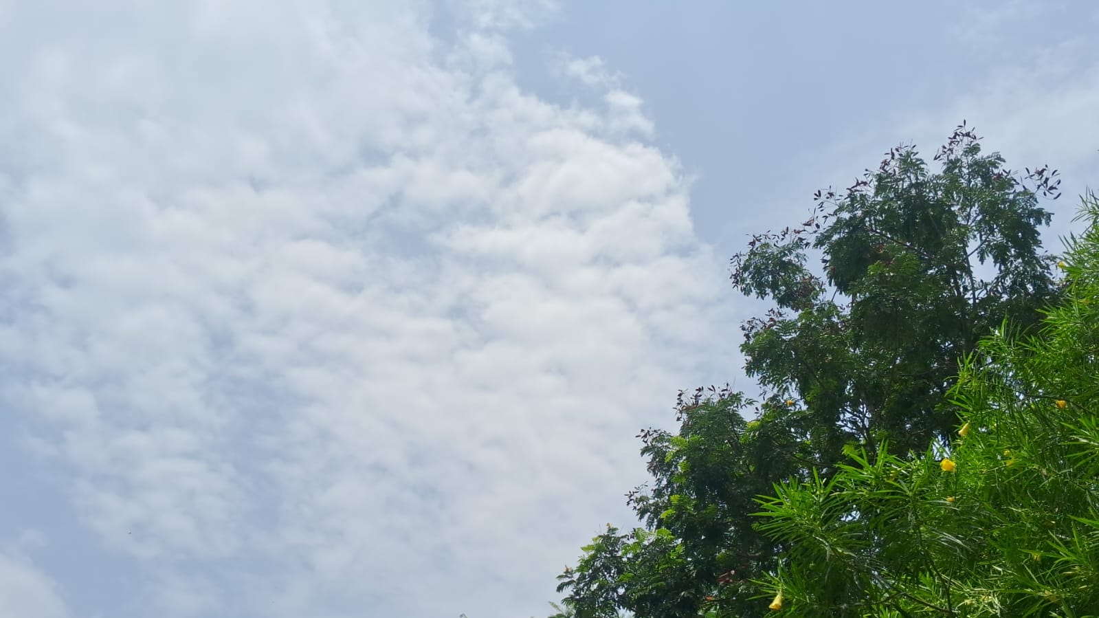 Monsoon entered in Jharkhand