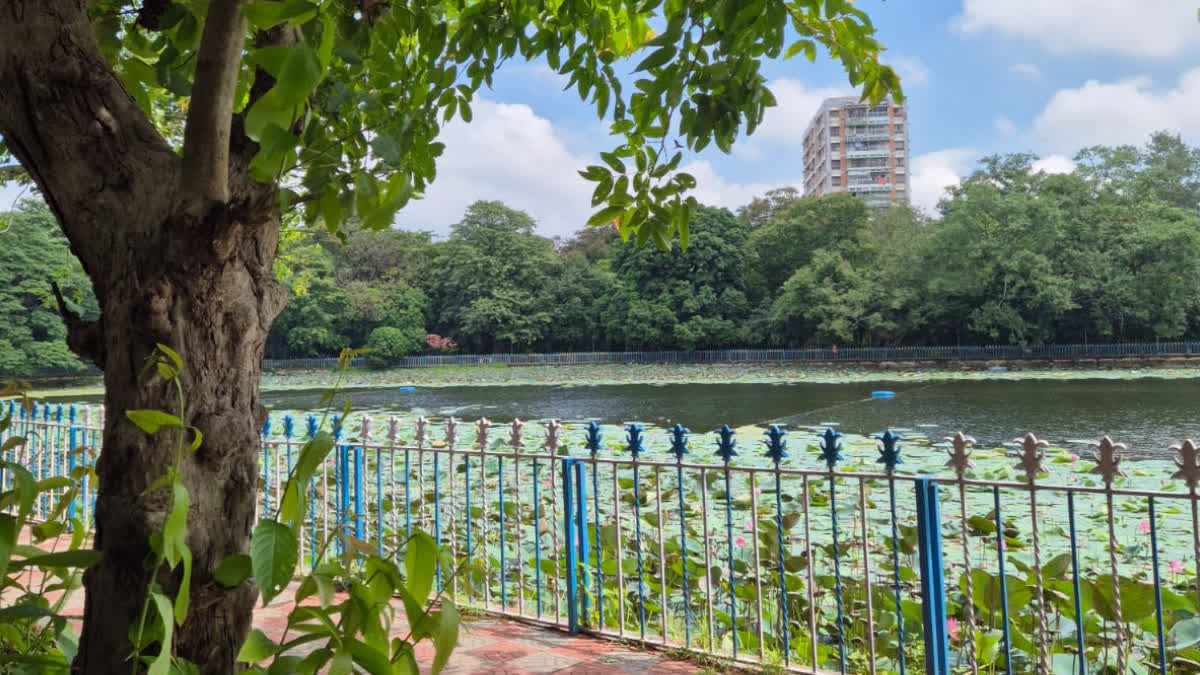 KMC on Water Body Filling