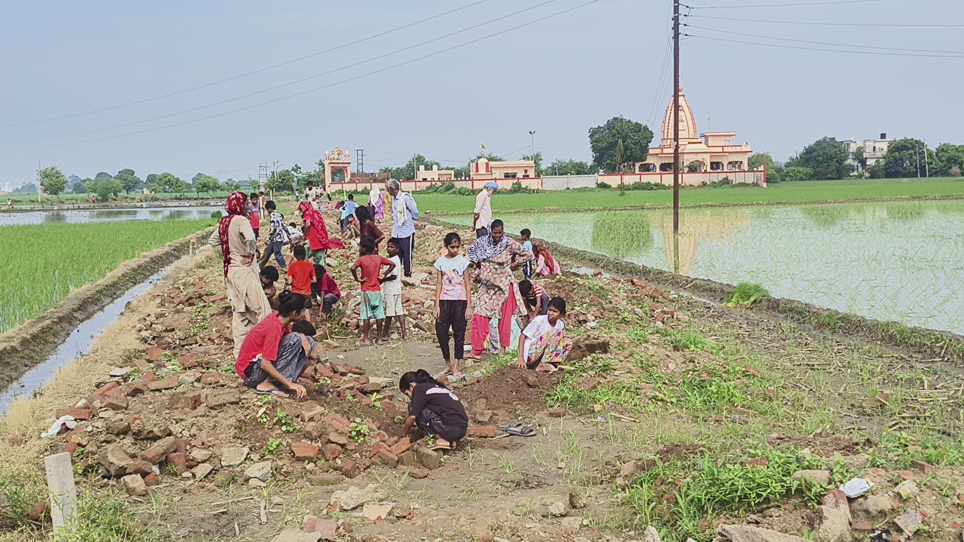 Treasure Unearthed: Villagers Discover Silver Coins In Paddy Fields In Haryana's Kurukshetra