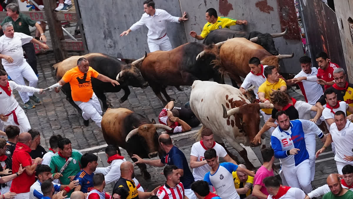 Revelers run alongside La Palmosilla's fighting bull during the sixth running of the bulls at the San Fermín festival in Pamplona, Spain.