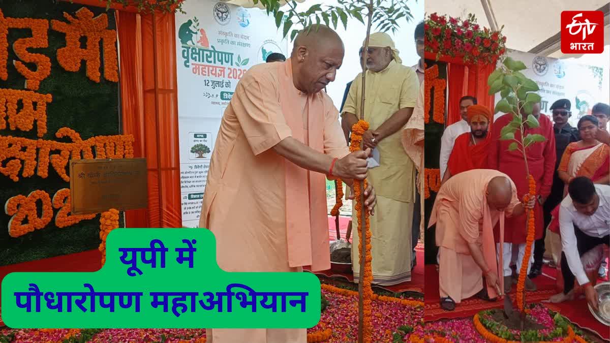 यूपी में एक पेड़ मां के नाम