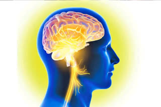 Epilepsy is a neurological disorder