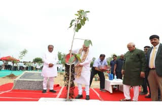 Ahmedabad mass tree plantation drive