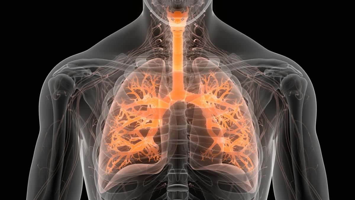 Lung Pulmonary Fibrosis: Symptoms and Causes Explained