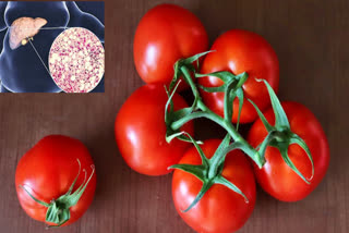 Can eating tomatoes daily reduce liver fat? Find out what new research says.
