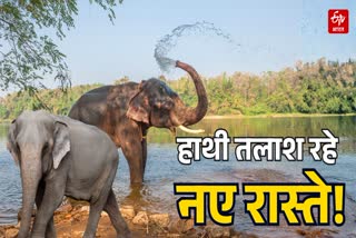 Etv Bharat
