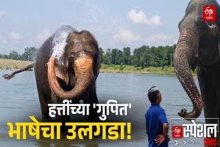 Etv Bharat
