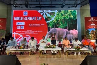 WORLD ELEPHANT DAY