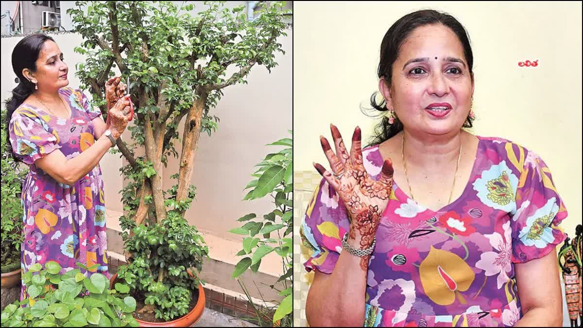 ಆಂಧ್ರ ಪ್ರದೇಶ :ಸಾಯೋ ಮರಗಳಿಗೆ ಮರುಜೀವ ಕೊಡುವ ಸಸ್ಯ ವೈದ್ಯೆ: ಇವರ ಮನೆ ಹಿತ್ತಲಲ್ಲಿ ಸಾವಿರಕ್ಕೂ ಅಧಿಕ ಗಿಡ ಮರಗಳು!! 