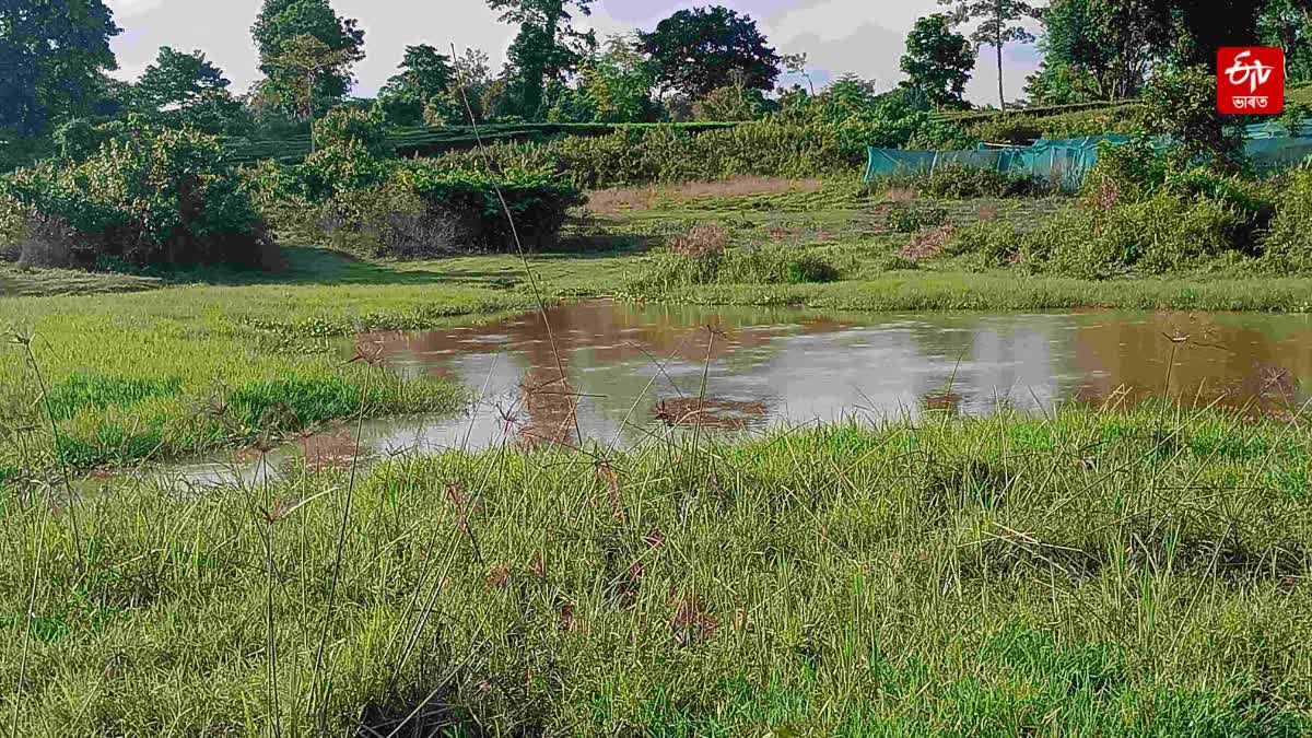 HOT WATER SPRING GELIPUNG