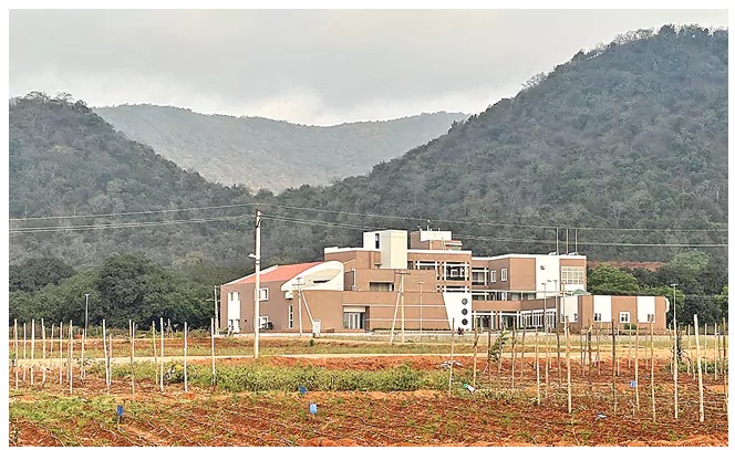 Healing People And Soil, Vijayawada Doctor Couple Dedicates Life To Natural Farming Research