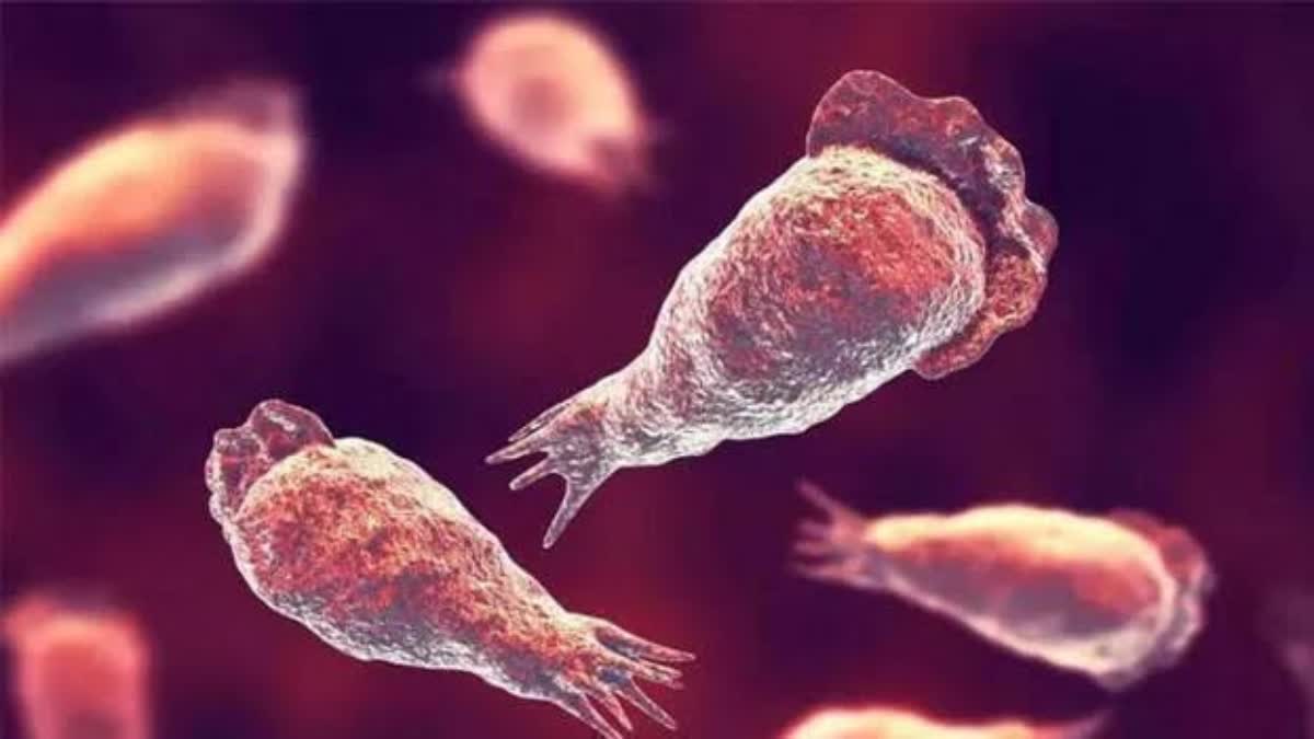 AMOEBIC MENINGOENCEPHALITIS REPORT UNCHLORINATED WELL WATER BRAIN INFECTION AMOEBA OUTBREAK ICMR REPORT