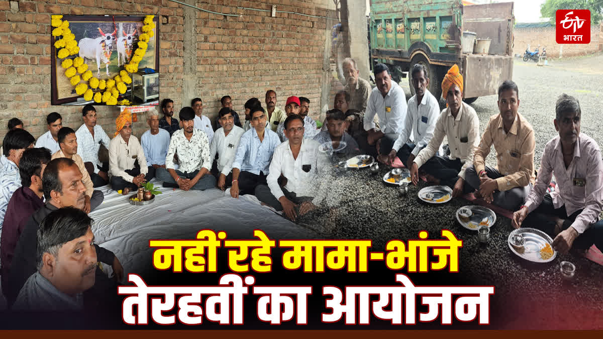 RATLAM OXEN PAIR DEATH