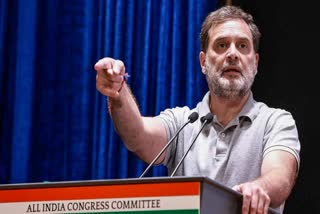 RAHUL GANDHI CONCERT INDORE