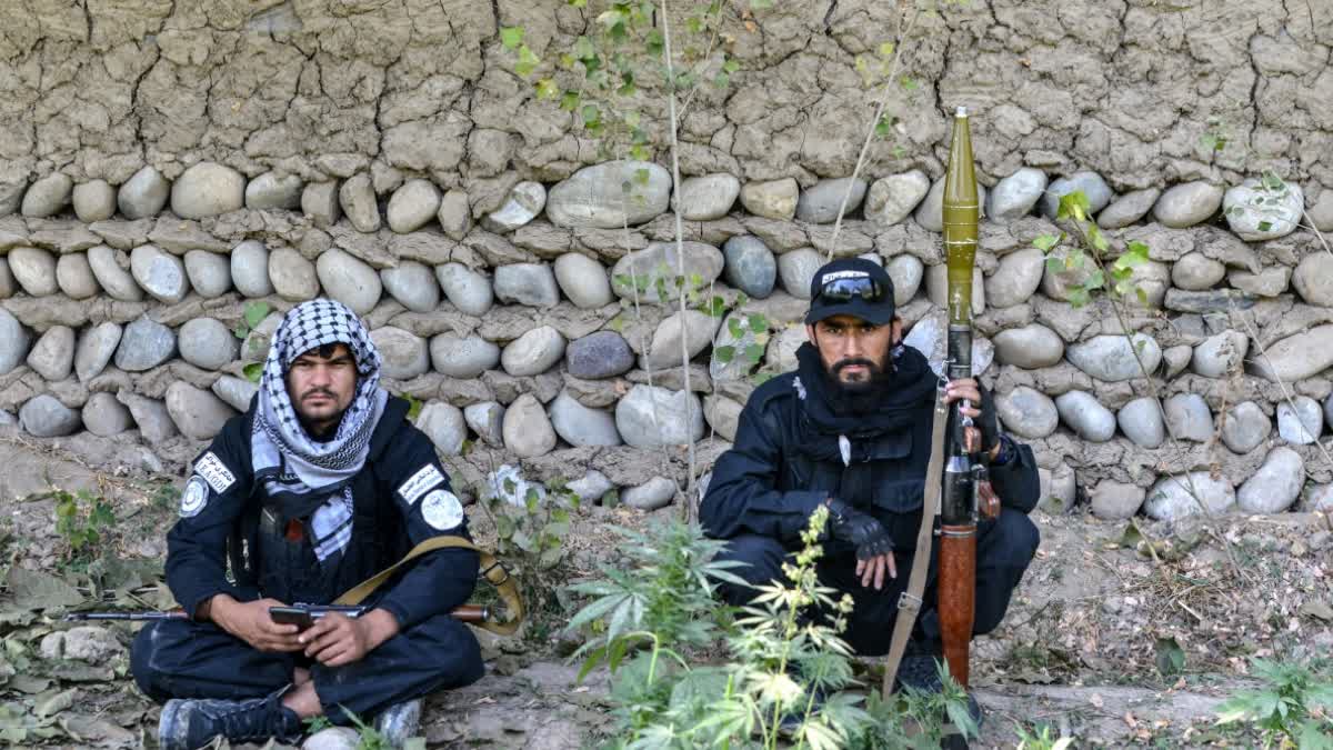 TALIBAN PAKISTAN ATTACK