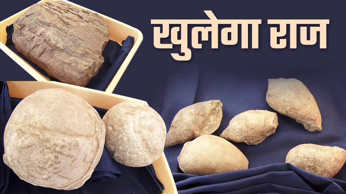 Dinosaur Fossil National Park Dhar