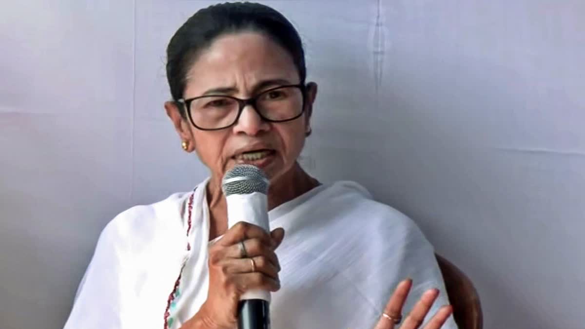 Mamata