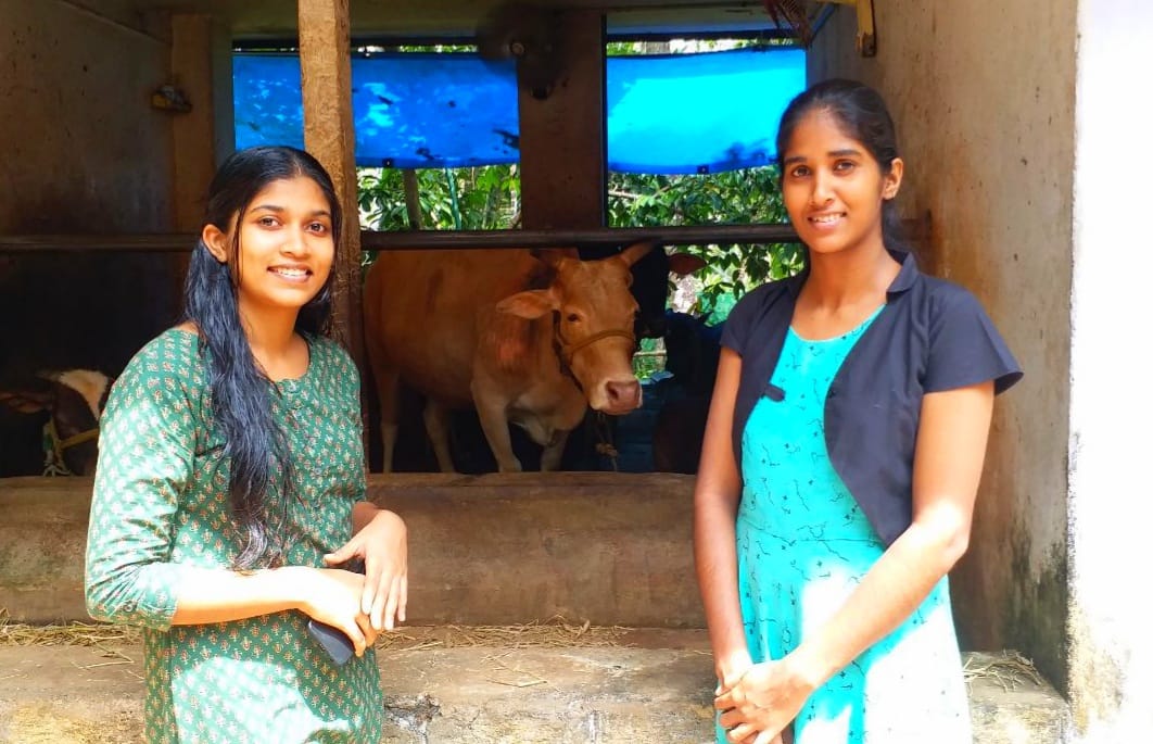 Kasargod Dwarf Cow Farming