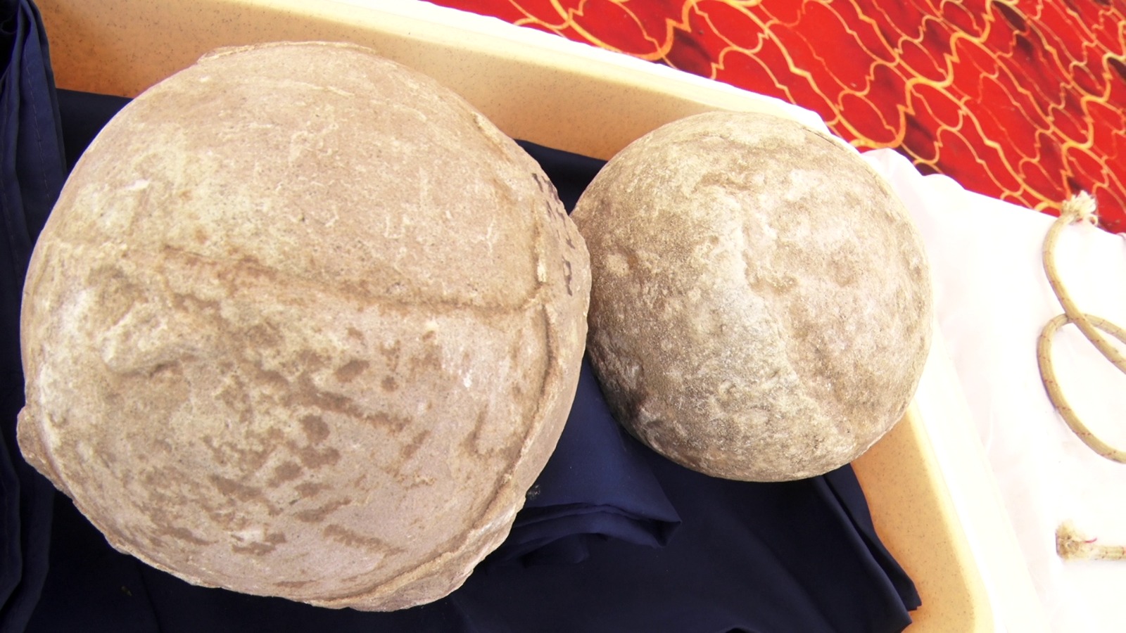 Dinosaur Fossil National Park Dhar