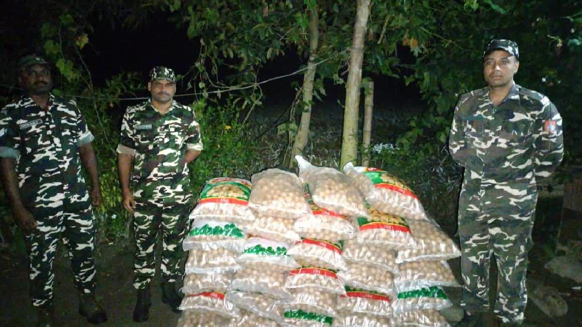 SSB Seizes 750 Quintals of Smuggled Chinese Walnuts Near India-Nepal Border in Khatima