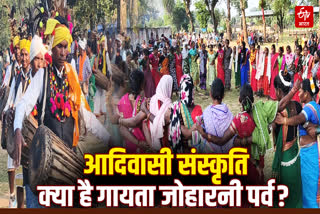tribal culture Gayta Joharni